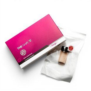 Кістковий матеріал Purgo THE Graft (2.4 см&sup3;) дрібна фракція 1.0 g  BG-A10 фото